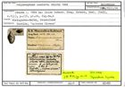 Karteikarte zum Holotyp von Polymorphina contorta Stache, 1864